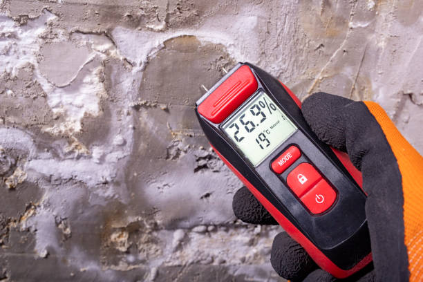 Best Attic Mold Removal  in Cedaredge, CO